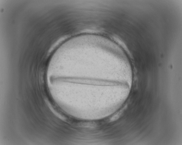 X0000082740106200702240023