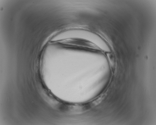 X0000082740107200702240023