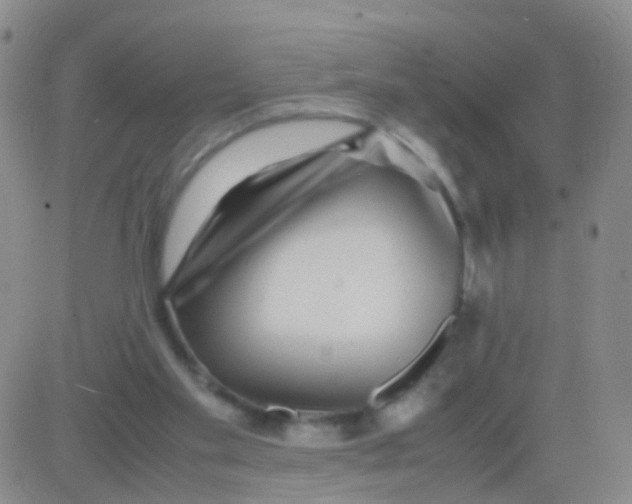 X0000082740109200702240023