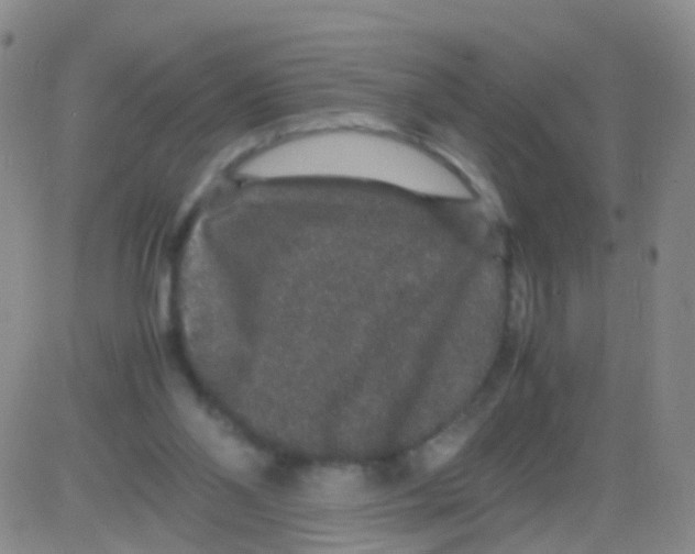 X0000082740110200702240023