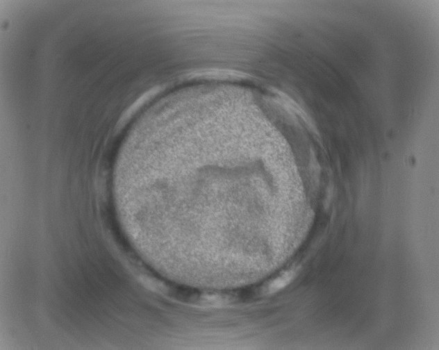 X0000082740111200702240023