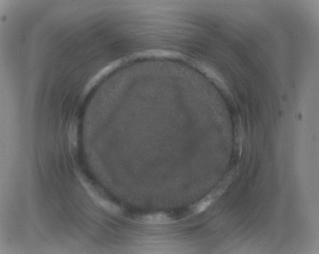 X0000082740112200702240023