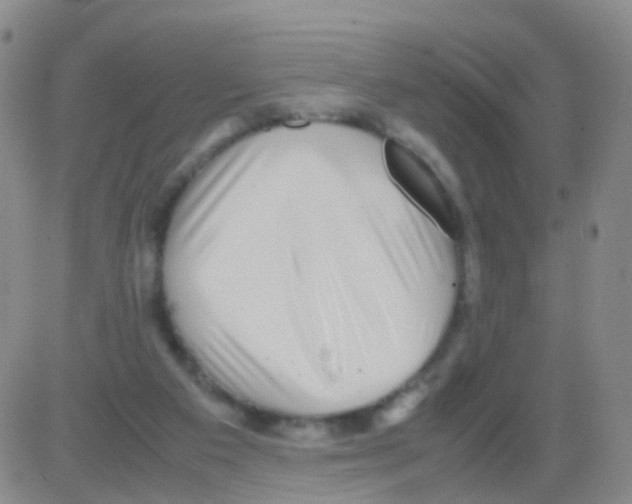 X0000082740113200702240023