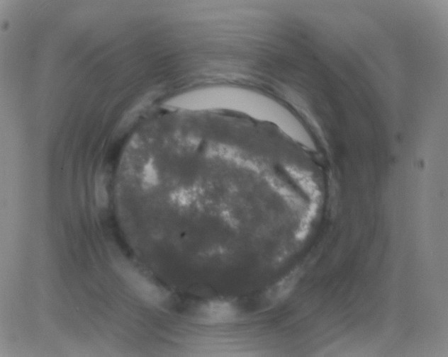 X0000082740114200702240023