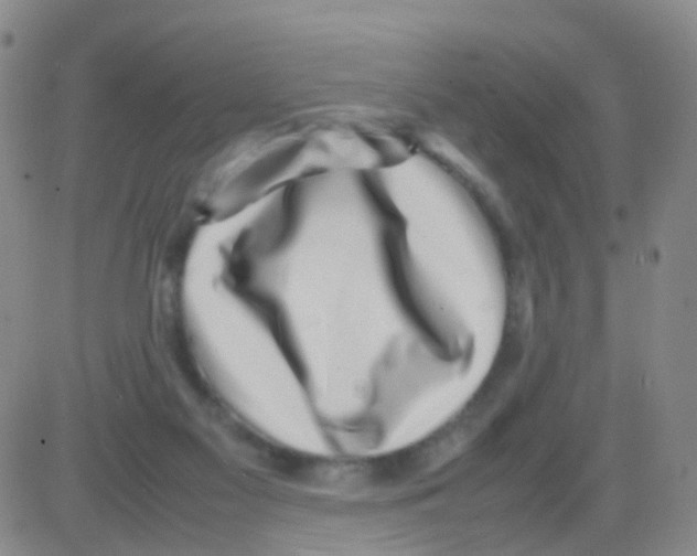 X0000082740117200702240023