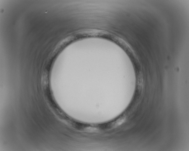 X0000082740119200702240023