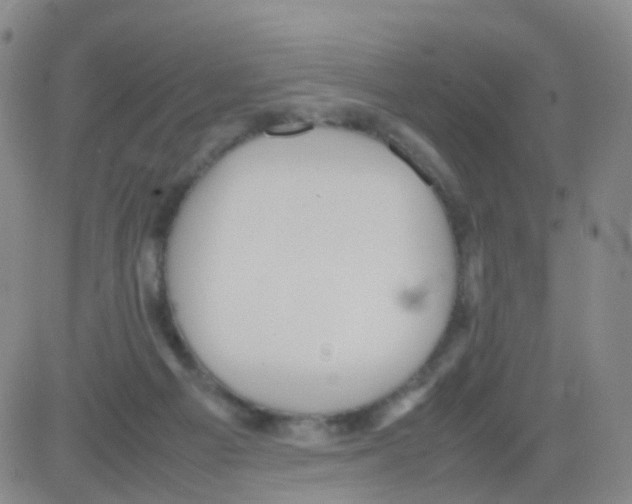 X0000082740121200702240023