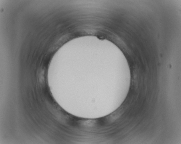 X0000082740122200702240023