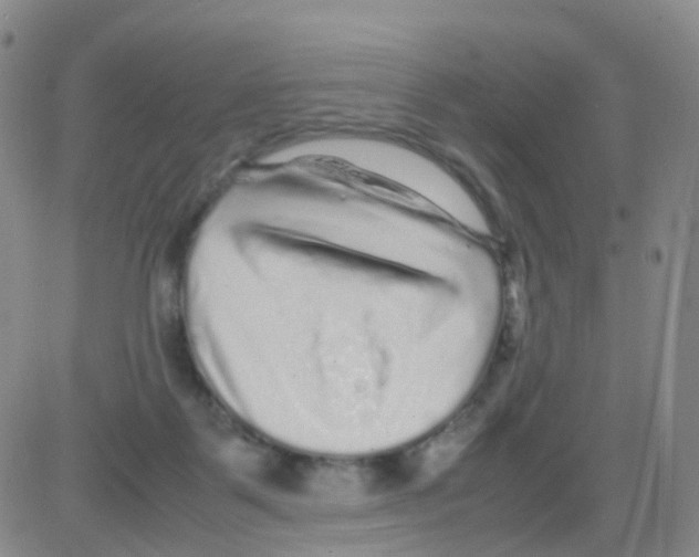 X0000082740123200702240023