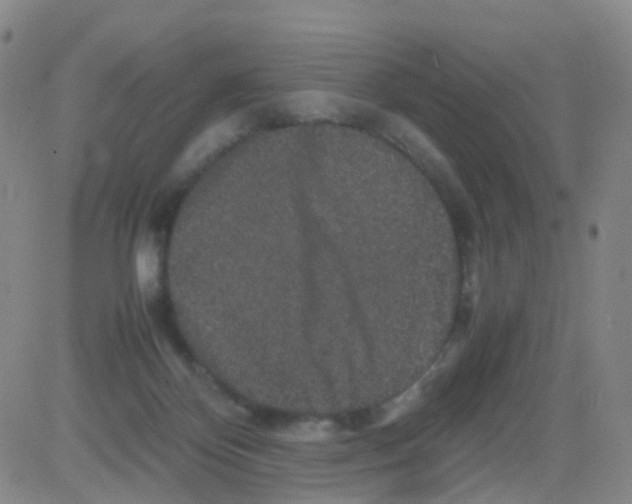 X0000082740124200702240023