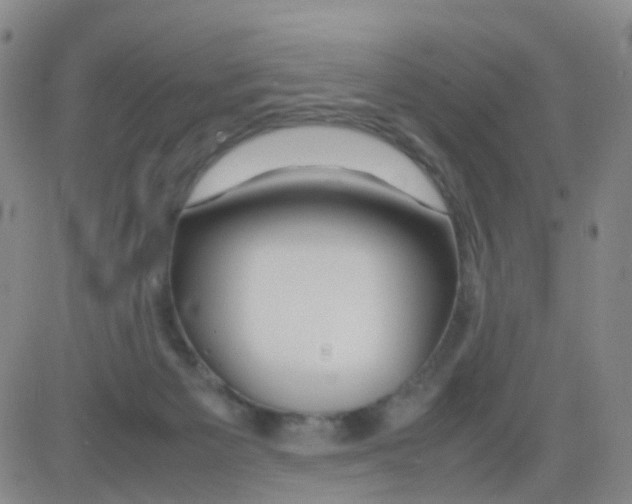 X0000082740125200702240023