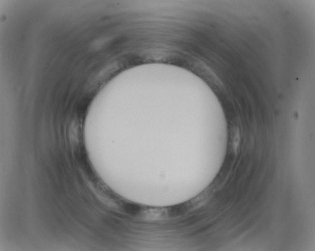 X0000082740126200702240023