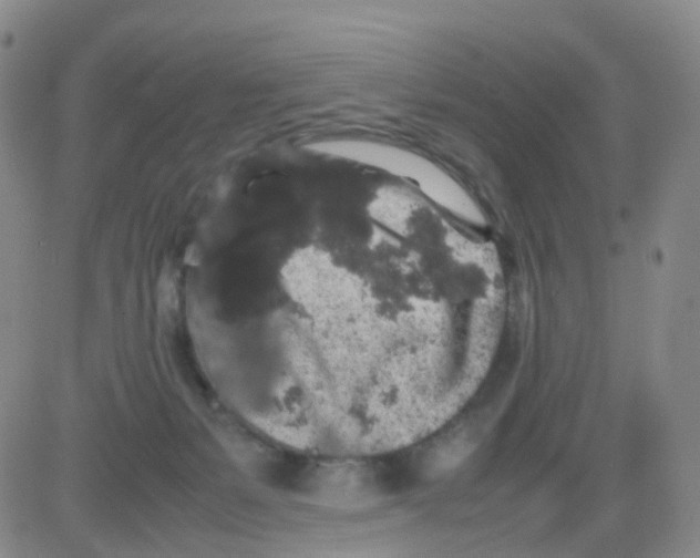 X0000082740127200702240023