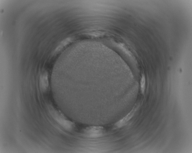 X0000082740128200702240023