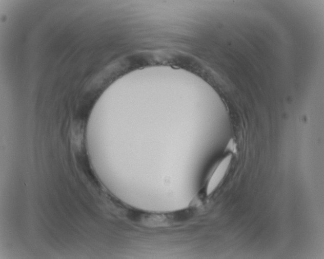 X0000082740129200702240023