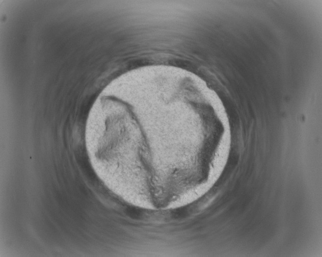 X0000082740131200702240023