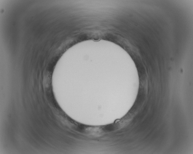 X0000082740133200702240023