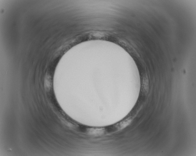 X0000082740135200702240022