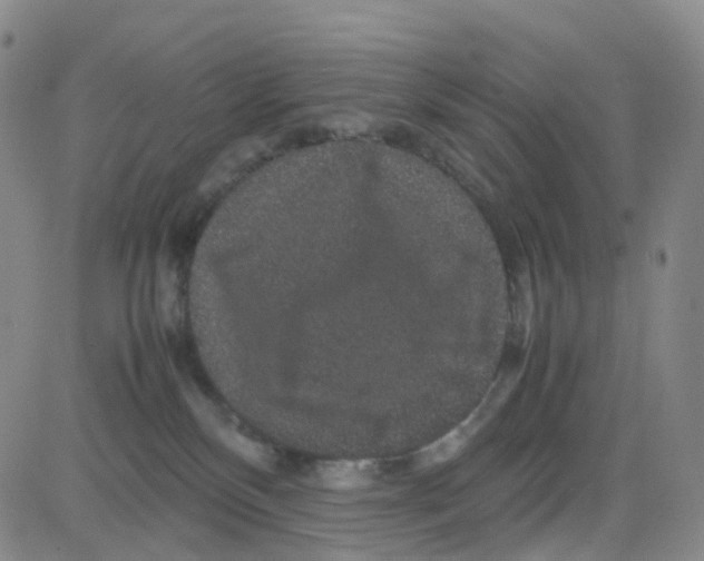 X0000082740136200702240022