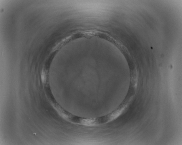 X0000082740139200702240022