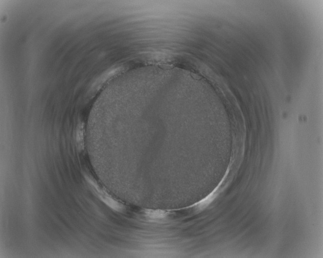 X0000082740144200702240022