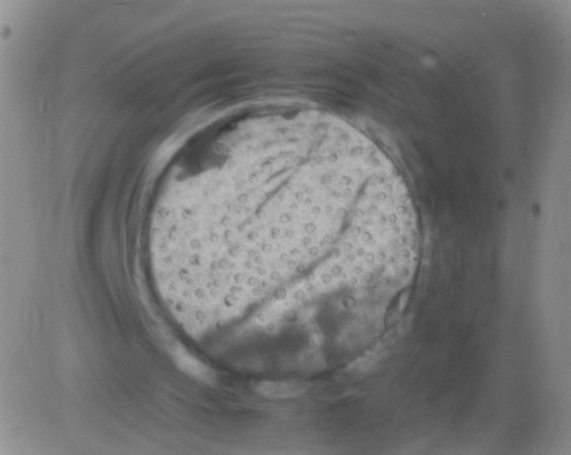 X0000082740145200702240022