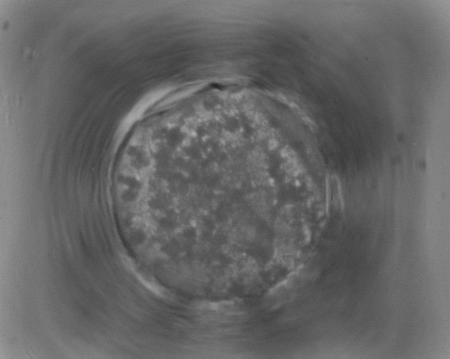 X0000082740147200702240022