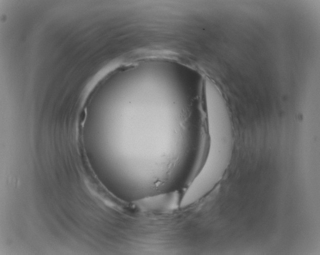 X0000082740148200702240022