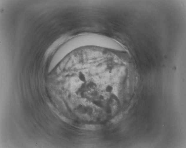 X0000082740149200702240022