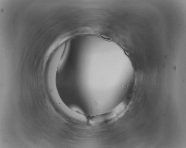 X0000082740150200702240022