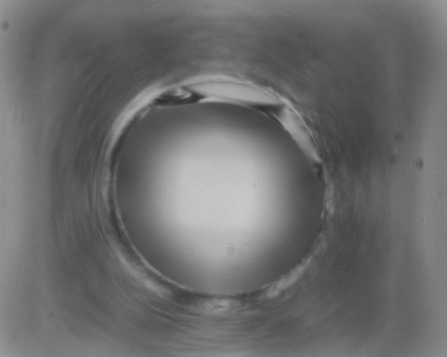 X0000082740152200702240022