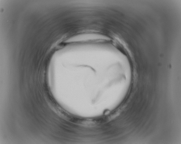 X0000082740153200702240022