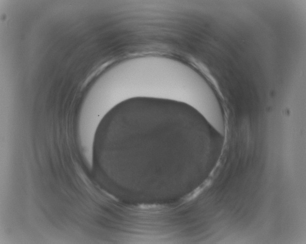 X0000082740154200702240022