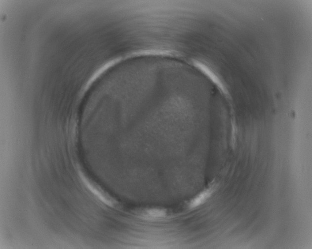 X0000082740156200702240022