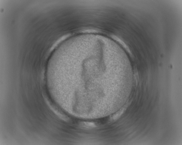 X0000082740159200702240022