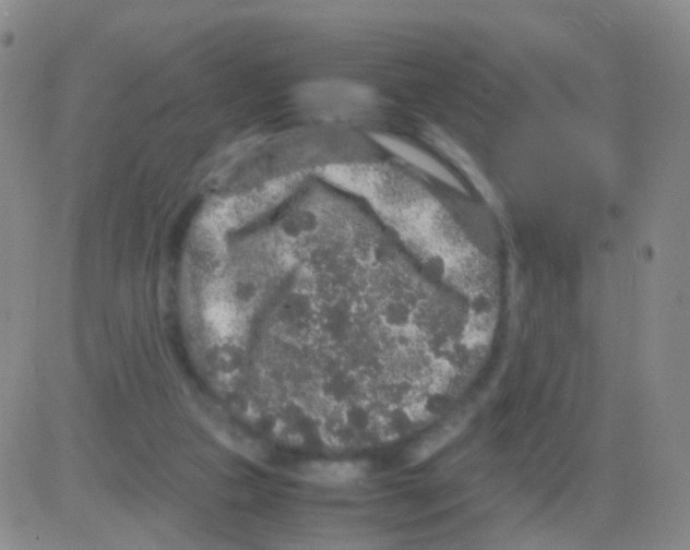 X0000082740161200702240022