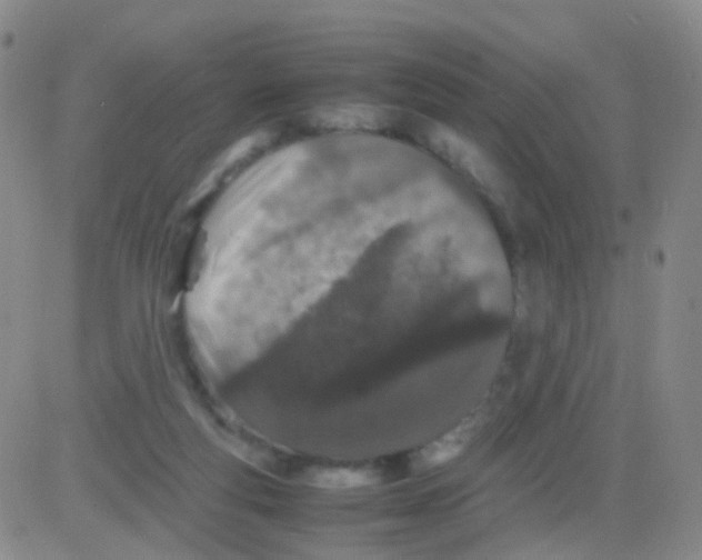 X0000082740163200702240022