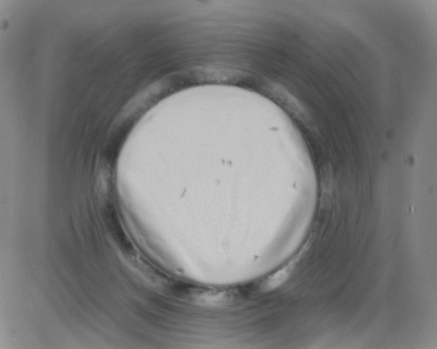 X0000082740166200702240022