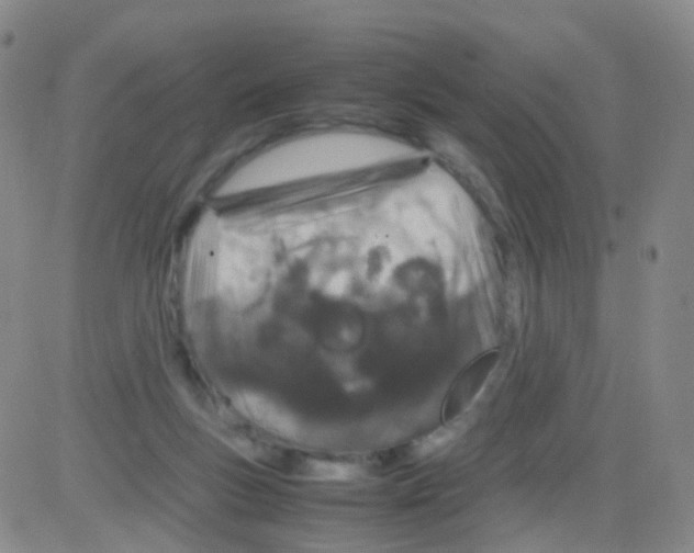 X0000082740167200702240022