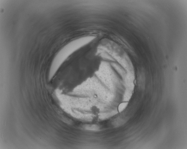 X0000082740169200702240022