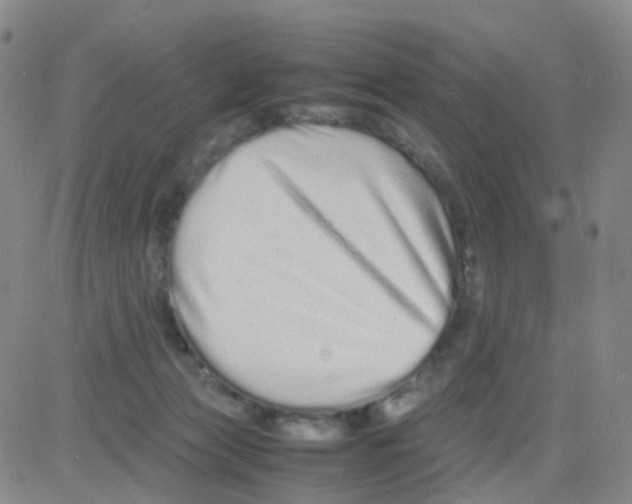 X0000082740173200702240022