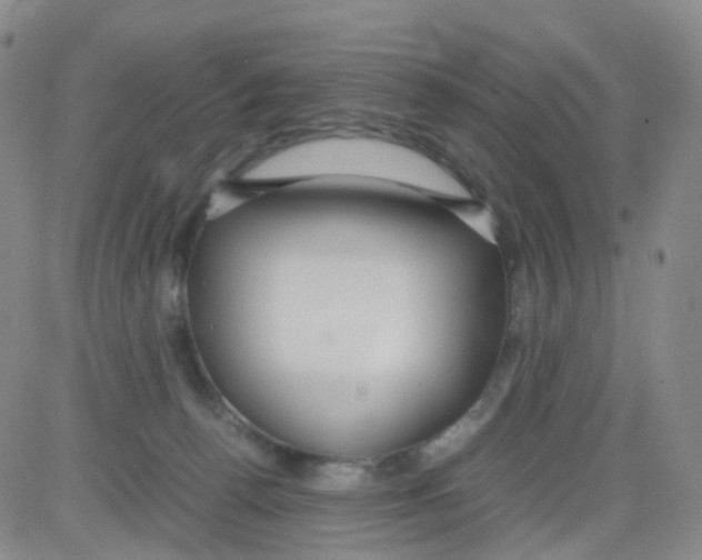 X0000082740176200702240022