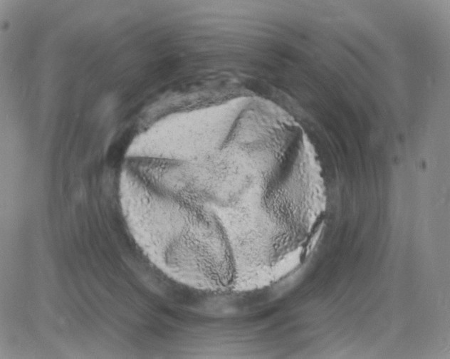 X0000082740178200702240022