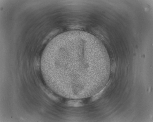 X0000082740179200702240022