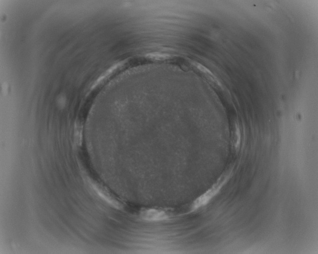 X0000082740180200702240022