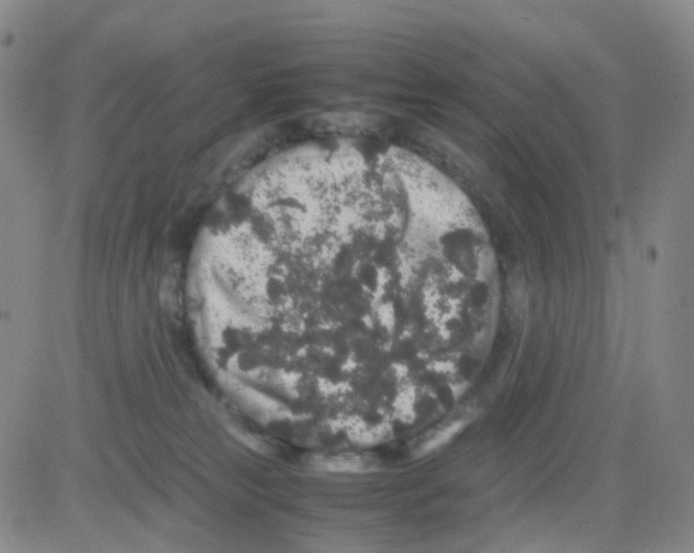 X0000082740181200702240022