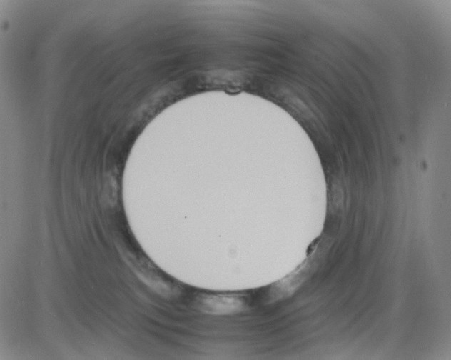 X0000082740183200702240022