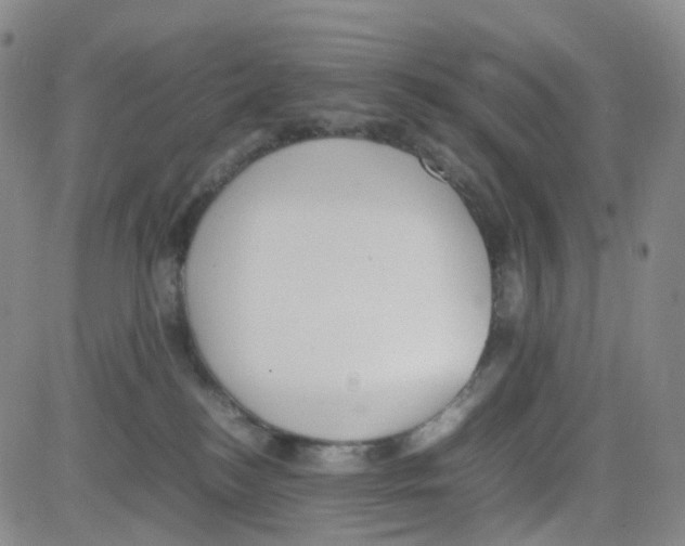 X0000082740184200702240022