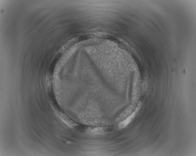 X0000082740186200702240022