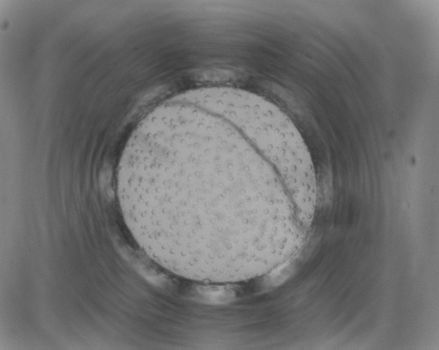 X0000082740187200702240022